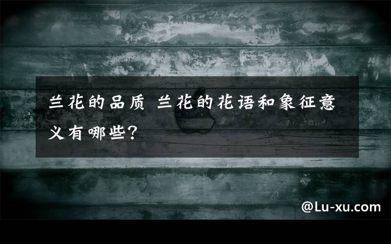 兰花的品质 兰花的花语和象征意义有哪些?