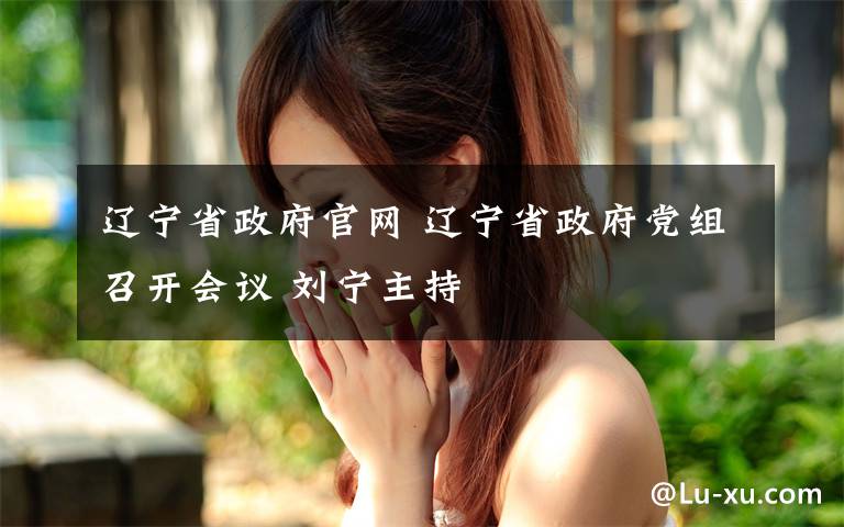 辽宁省政府官网 辽宁省政府党组召开会议 刘宁主持