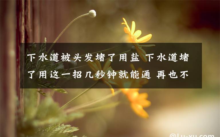 下水道被头发堵了用盐 下水道堵了用这一招几秒钟就能通 再也不用花钱去请人了!