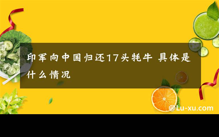 印军向中国归还17头牦牛 具体是什么情况