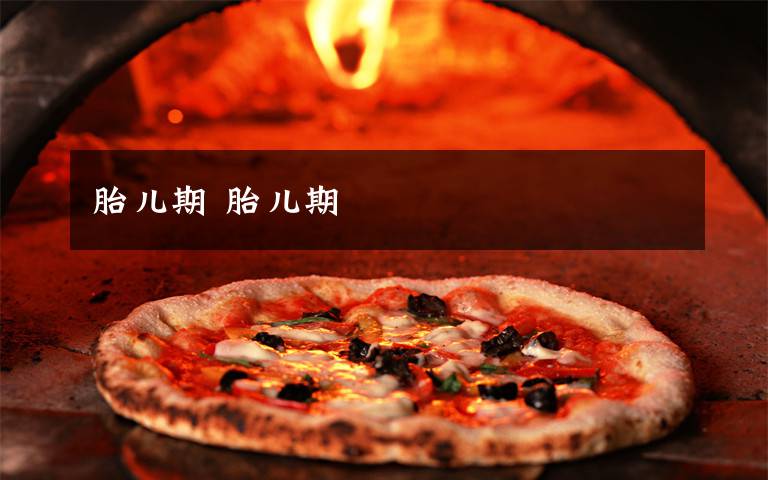 胎儿期 胎儿期