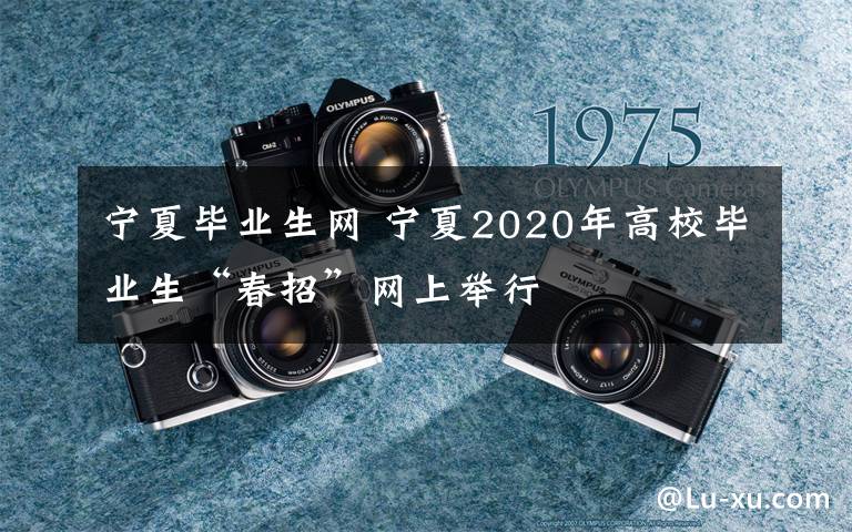 宁夏毕业生网 宁夏2020年高校毕业生“春招”网上举行