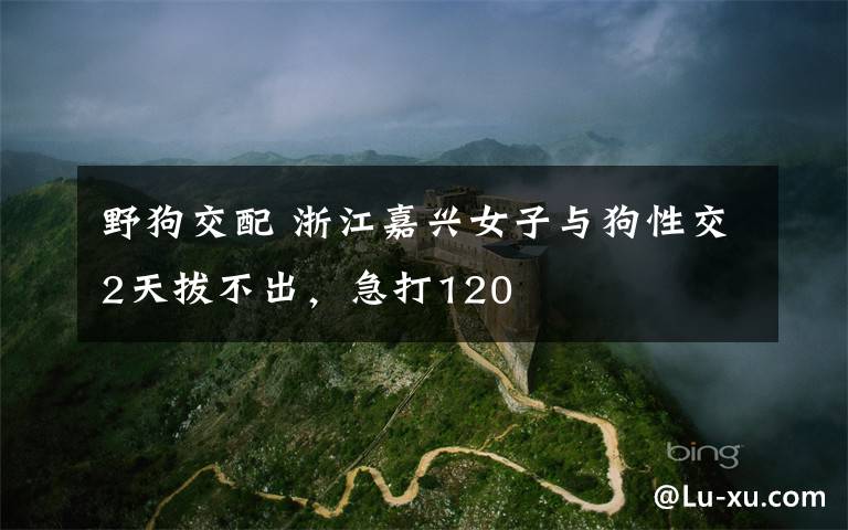 野狗交配 浙江嘉兴女子与狗性交2天拔不出，急打120