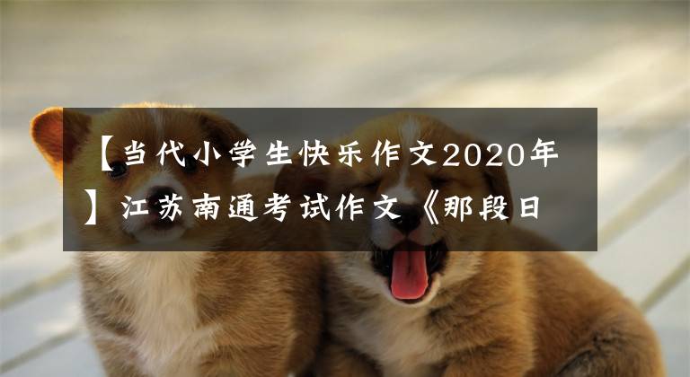 【当代小学生快乐作文2020年】江苏南通考试作文《那段日子我忽然长大》满分作文阅读欣赏