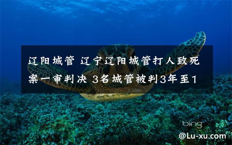 辽阳城管 辽宁辽阳城管打人致死案一审判决 3名城管被判3年至11年