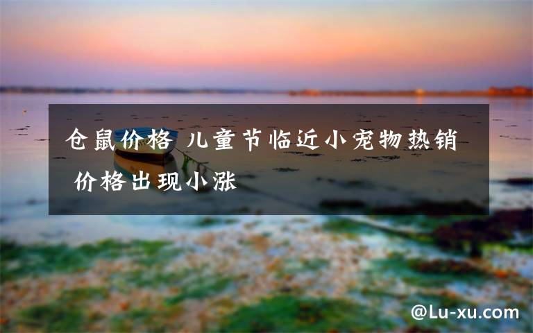 仓鼠价格 儿童节临近小宠物热销 价格出现小涨