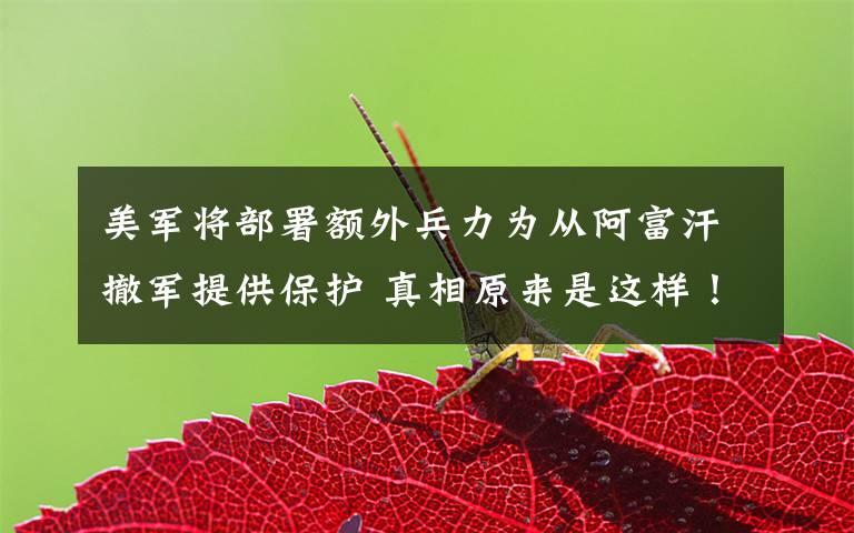 美军将部署额外兵力为从阿富汗撤军提供保护 真相原来是这样!