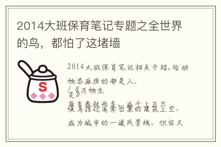 2014大班保育笔记专题之全世界的鸟,都怕了这堵墙