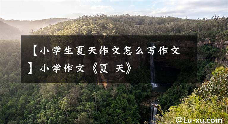 【小学生夏天作文怎么写作文】小学作文《夏 天》