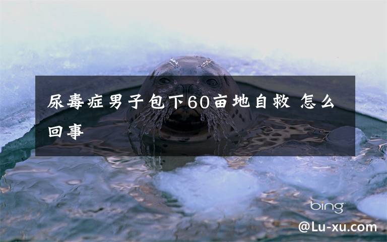 尿毒症男子包下60亩地自救 怎么回事