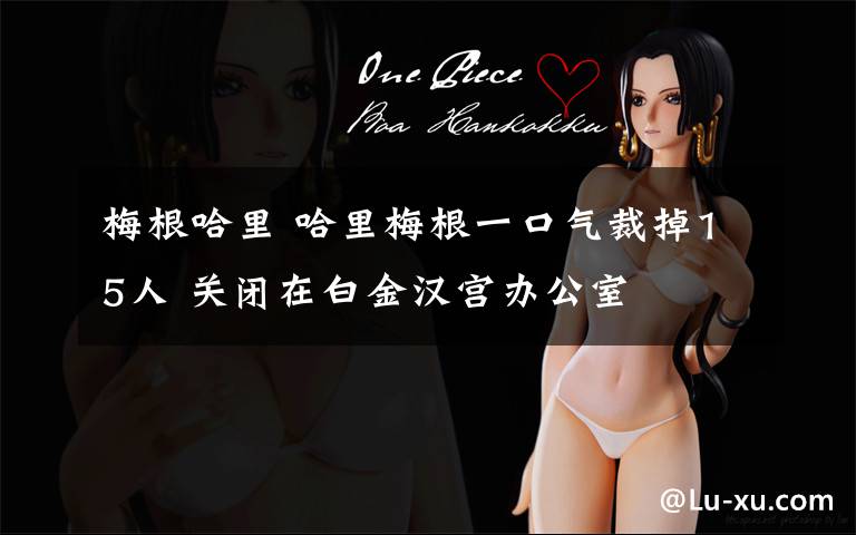 梅根哈里 哈里梅根一口气裁掉15人 关闭在白金汉宫办公室