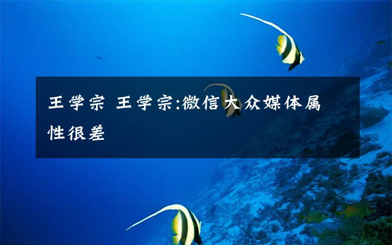 王学宗 王学宗:微信大众媒体属性很差