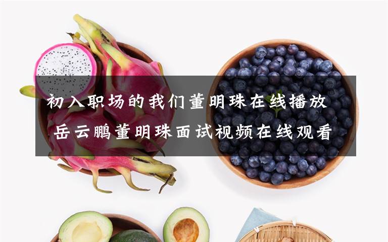 初入职场的我们董明珠在线播放 岳云鹏董明珠面试视频在线观看