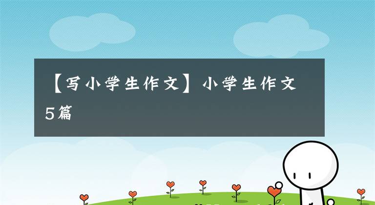 【写小学生作文】小学生作文5篇