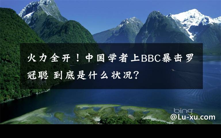 火力全开!中国学者上BBC暴击罗冠聪 到底是什么状况?