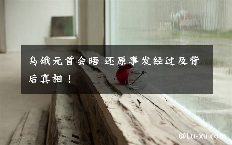 乌俄元首会晤 还原事发经过及背后真相!