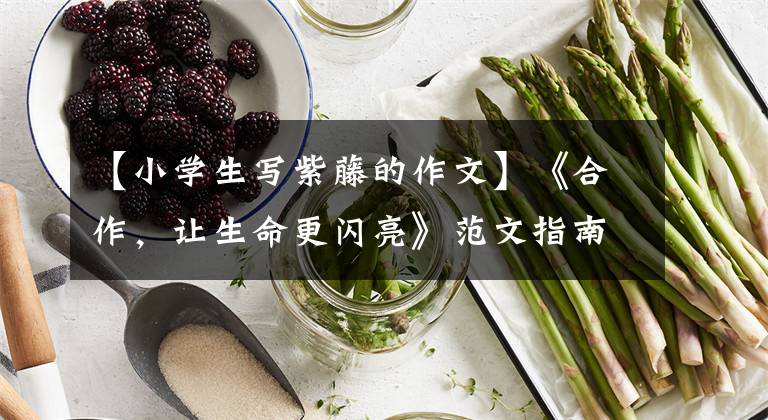 【小学生写紫藤的作文】《合作，让生命更闪亮》范文指南