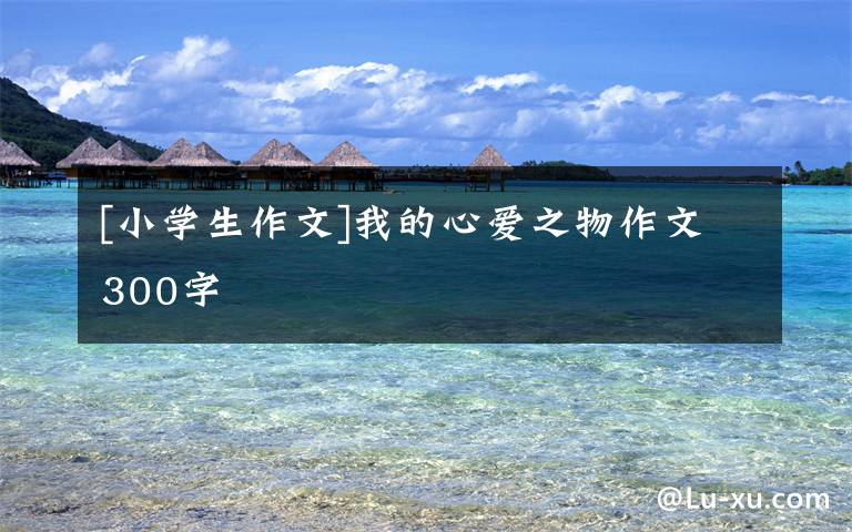 [小学生作文]我的心爱之物作文300字