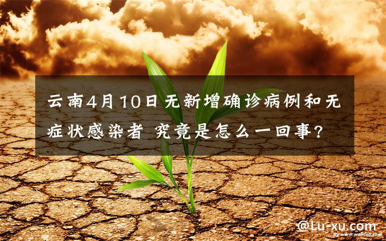 云南4月10日无新增确诊病例和无症状感染者 究竟是怎么一回事?