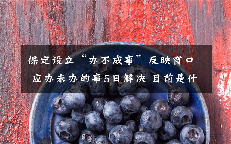 保定设立“办不成事”反映窗口 应办未办的事5日解决 目前是什么情况?