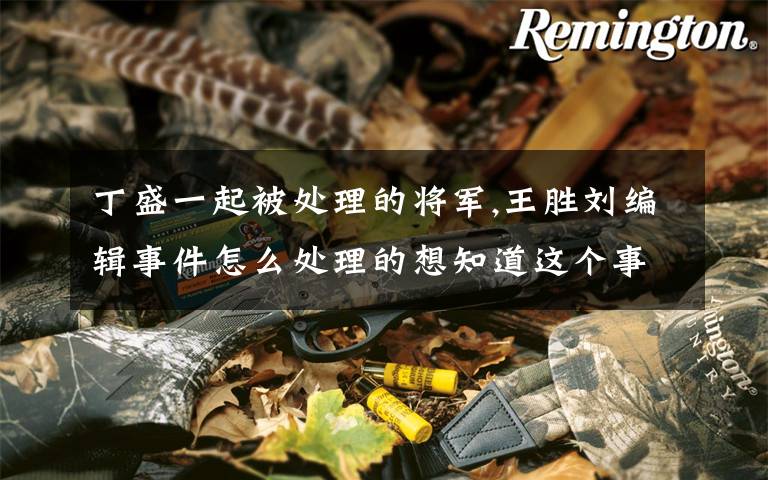 丁盛一起被处理的将军,王胜刘编辑事件怎么处理的想知道这个事件怎么处理的?