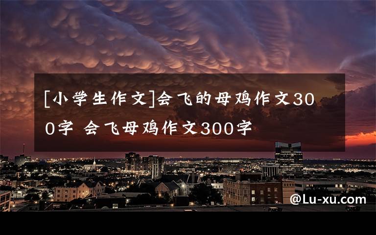 [小学生作文]会飞的母鸡作文300字 会飞母鸡作文300字