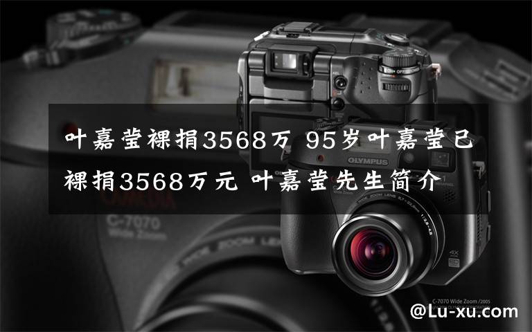 叶嘉莹裸捐3568万 95岁叶嘉莹已裸捐3568万元 叶嘉莹先生简介