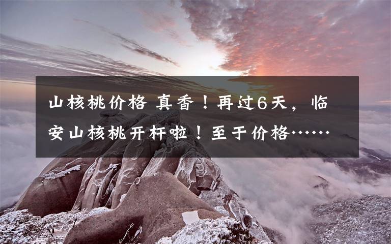 山核桃价格 真香！再过6天，临安山核桃开杆啦！至于价格……