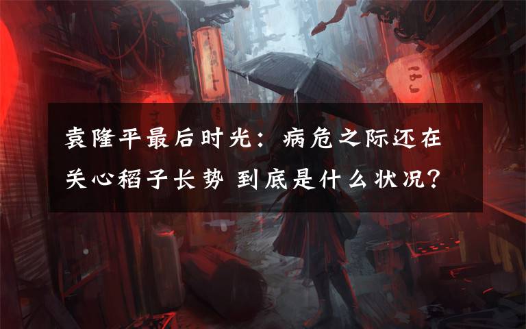 袁隆平最后时光:病危之际还在关心稻子长势 到底是什么状况?