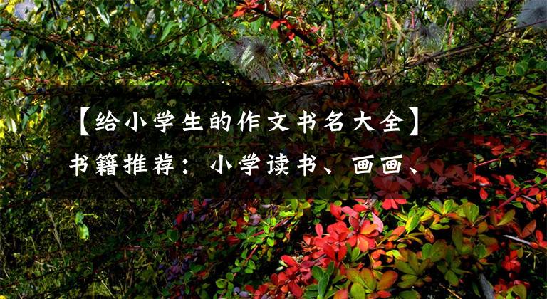 【给小学生的作文书名大全】书籍推荐:小学读书、画画、写作、写作。