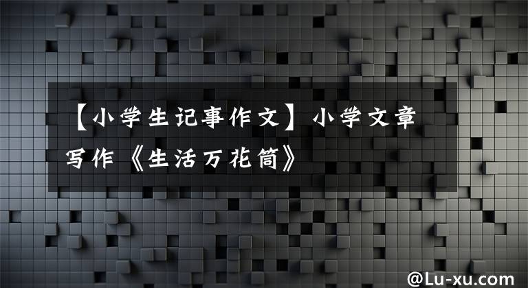 【小学生记事作文】小学文章写作《生活万花筒》