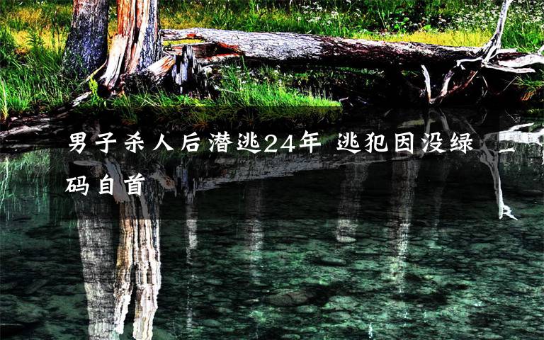 男子杀人后潜逃24年 逃犯因没绿码自首