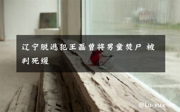 辽宁脱逃犯王磊曾将男童焚尸 被判死缓