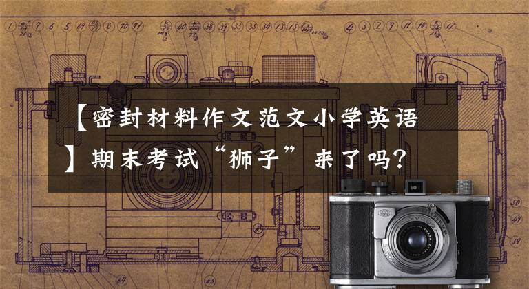 【密封材料作文范文小学英语】期末考试“狮子”来了吗?别怕,学笔记来帮忙