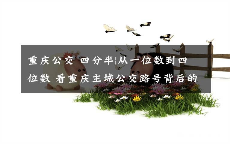 重庆公交 四分半|从一位数到四位数 看重庆主城公交路号背后的“秘密”