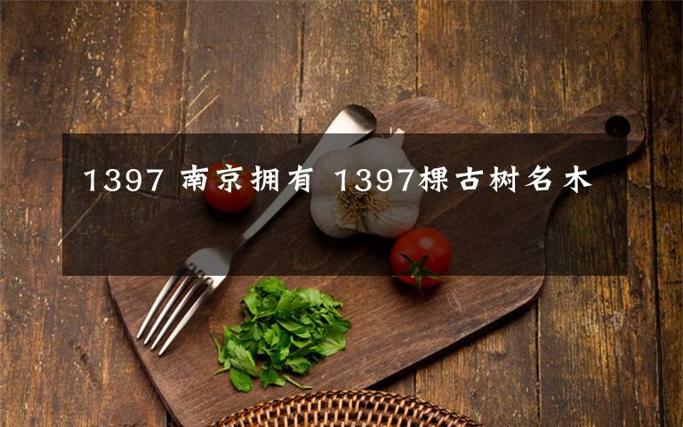 1397 南京拥有 1397棵古树名木