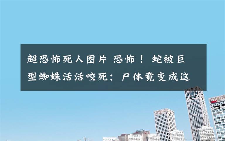 超恐怖死人图片 恐怖! 蛇被巨型蜘蛛活活咬死:尸体竟变成这样