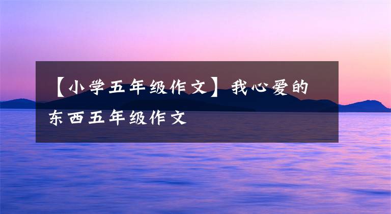 【小学五年级作文】我心爱的东西五年级作文