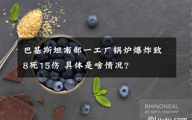 巴基斯坦南部一工厂锅炉爆炸致8死15伤 具体是啥情况?