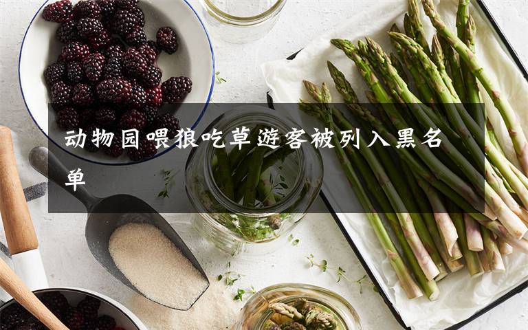 动物园喂狼吃草游客被列入黑名单