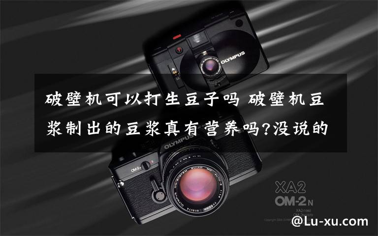 破壁机可以打生豆子吗 破壁机豆浆制出的豆浆真有营养吗?没说的那么神