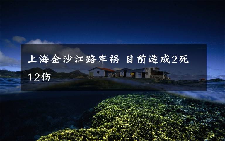 上海金沙江路车祸 目前造成2死12伤
