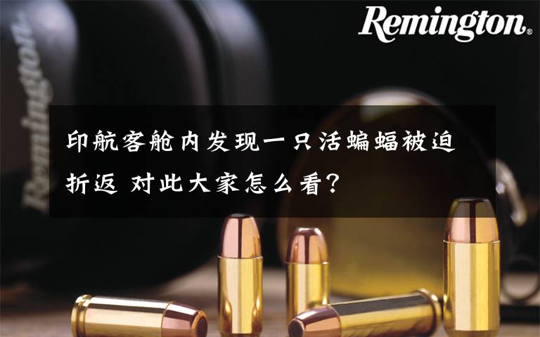 印航客舱内发现一只活蝙蝠被迫折返 对此大家怎么看?