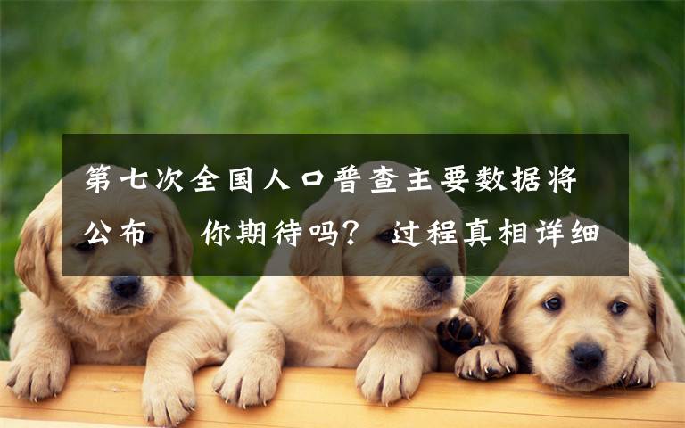 第七次全国人口普查主要数据将公布  你期待吗？ 过程真相详细揭秘！