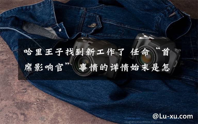 哈里王子找到新工作了 任命“首席影响官” 事情的详情始末是怎么样了！