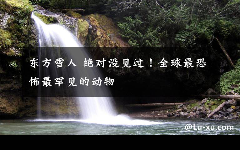 东方雪人 绝对没见过!全球最恐怖最罕见的动物