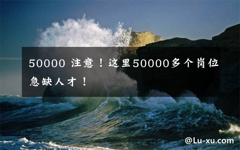 50000 注意!这里50000多个岗位急缺人才!