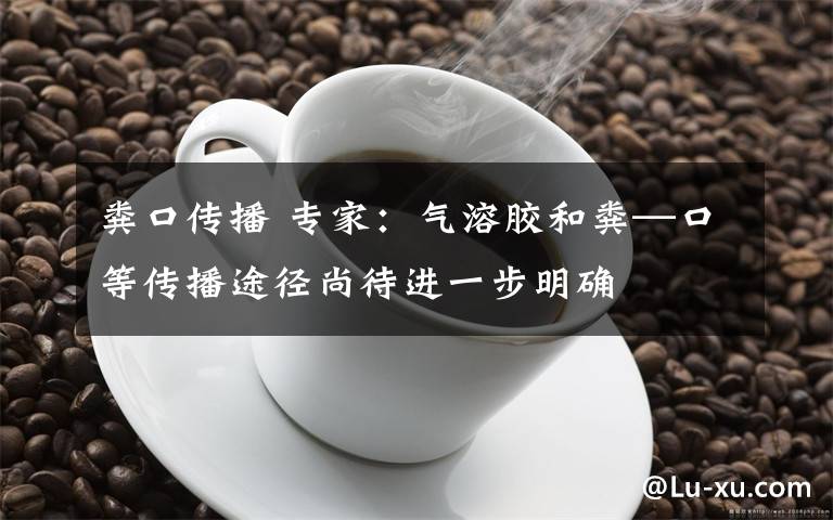 粪口传播 专家:气溶胶和粪—口等传播途径尚待进一步明确