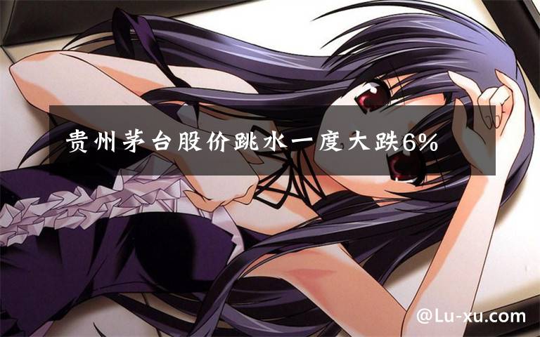 贵州茅台股价跳水一度大跌6%