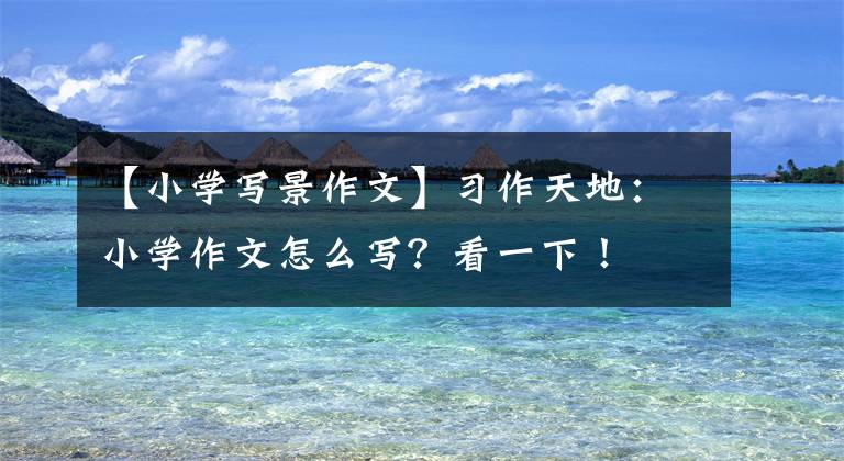 【小学写景作文】习作天地：小学作文怎么写？看一下！